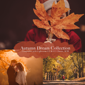 Autumn Dream Preset Collection