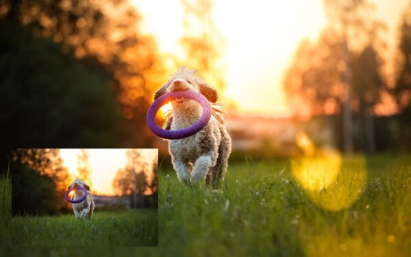 LR Lens Flare Presets - Image 6