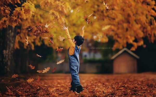 The Autumn Collection - ShopJeanPhotography.com
